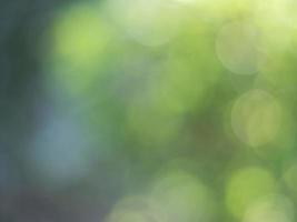 Natural outdoors bokeh background in green and yellow tones, Blurred green tree leaf background with bokeh photo