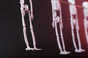 Bones of skeletons suspended on a rope on a dark background. photo