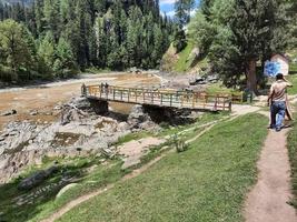 cachemira, pakistán, agosto de 2022 - cachemira es la región más hermosa del mundo, famosa por sus valles verdes, hermosos árboles, altas montañas y manantiales. foto