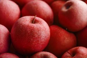 manzanas rojas maduras y jugosas sobre un fondo verde. foto