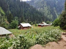 Kashmir, Pakistan, Aug 2022 - Kashmir is the most beautiful region in the world which is famous for its green valleys, beautiful trees, high mountains and flowing springs. photo