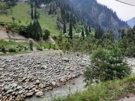 Kashmir is the most beautiful region in the world which is famous for its green valleys, beautiful trees, high mountains and flowing springs. photo