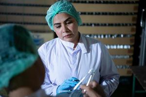 Product quality control officer in fruit juice production line Carry out an inspection of bottles used to contain fruit juices photo