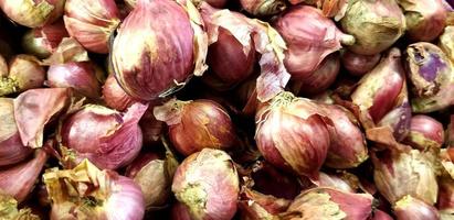 Close-up View of Raw Red Onion photo