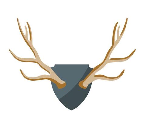 Horn of deer. Hunting trophy. Wall decoration element. Part of the stag  animal head 11081763 Vector Art at Vecteezy