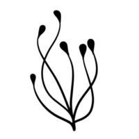 Natural plant. Abstract doodle flower. Sketch black and white Stem with leaves vector