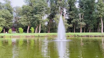 klein fontein in centrum van vijver in park omringd door groen vegetatie. video