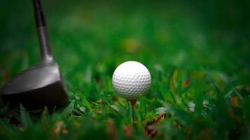 clube de golfe batendo bola de golfe na grama verde video