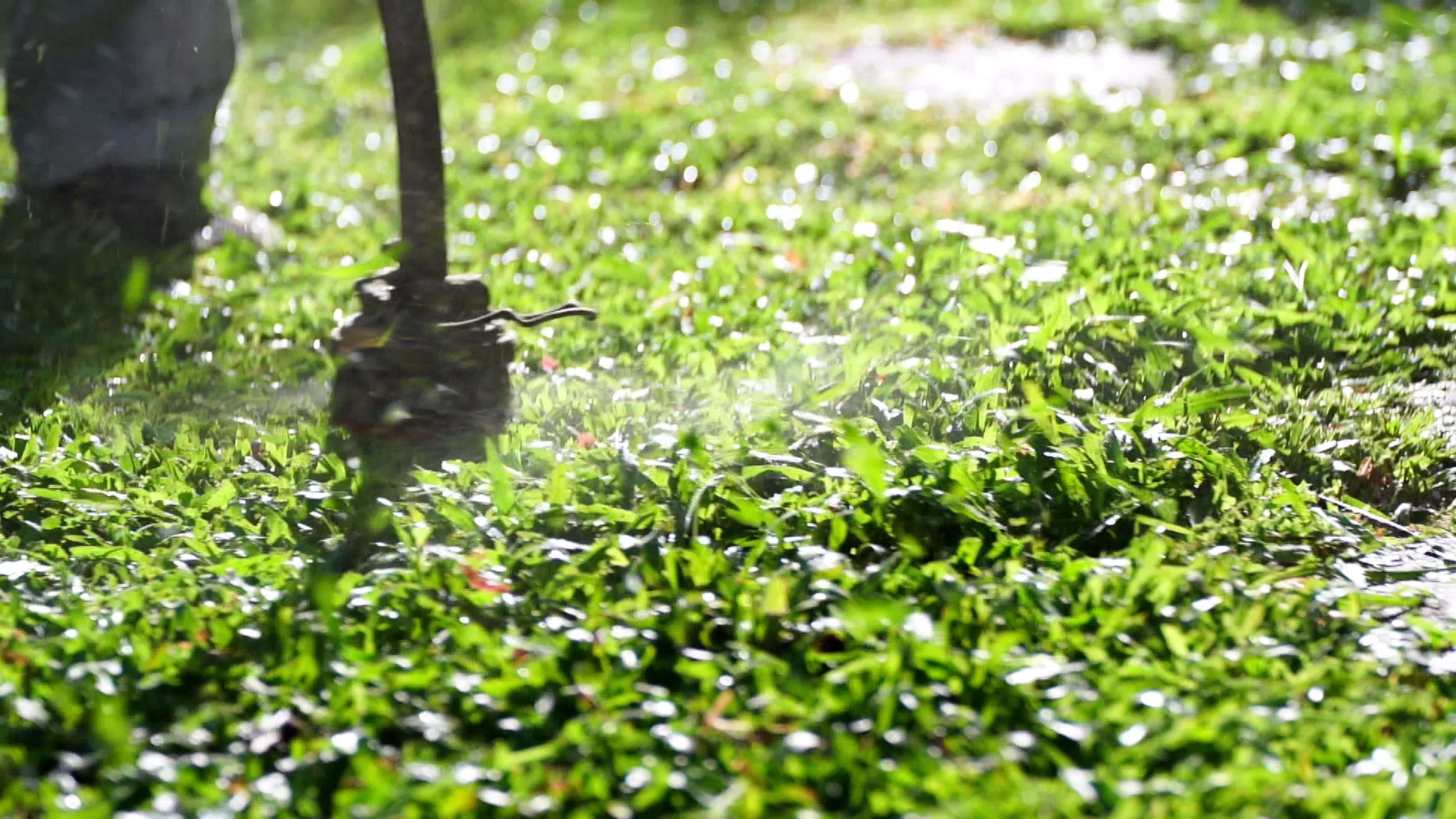 spinning nylon string parallel to the grasslevel slowmotion clip