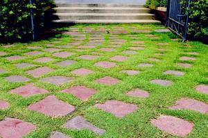 stone walkway in garden photo