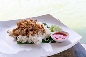 Fried Pork with Garlic Pepper on Rice wtih white dish photo