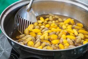 create a thread for weaving,boiling cocoon silkworm in a pot photo