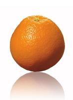 An orange isolated on a white background photo