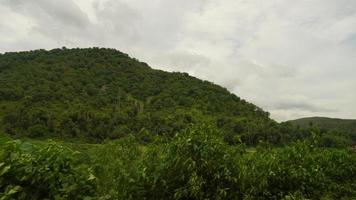 una montaña cubierta de hierba con nubes blancas foto