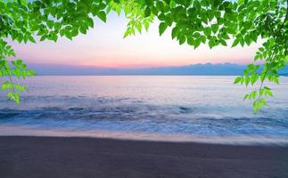 summer sea with green leaves pattern at sunset and copy space,sky relaxing concept,beautiful tropical background for travel landscape photo