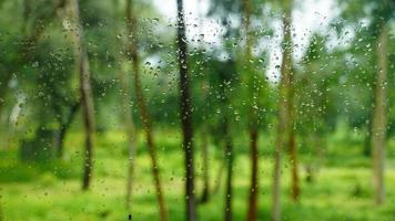 many drops of water on the glass photo