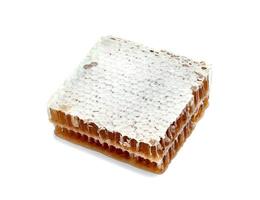 Fresh Honeycomb slice and honey isolated on white background photo