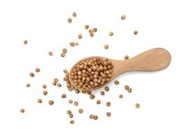 dried coriander seeds in wooden spoon isolated on white background photo