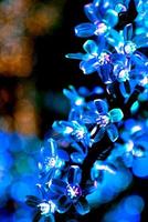 flor ornamental con luces bokeh azules de luces navideñas y año nuevo foto