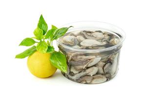 Oysters in plastic bowl with lemon and  leaf basil isolated on a white background photo