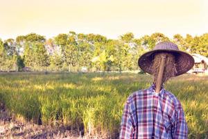 primer plano espantapájaros con fondo de campo de arroz foto