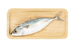 Fresh mackerel fish with square wooden tray isolated on white background ,include clipping path photo