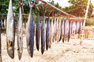 King mackerel dried fish, salted fish photo