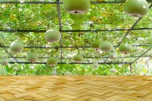 Top desk with blur bottle gourd tree background,Bamboo table photo