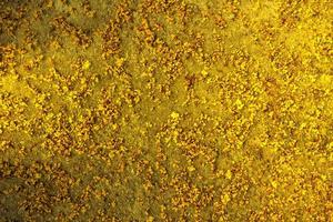 Shiny gold ground texture,abstract background,golden pattern photo