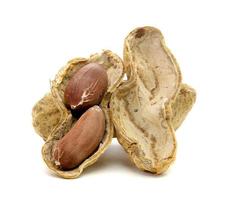 closeup dried peanuts isolated on white background photo