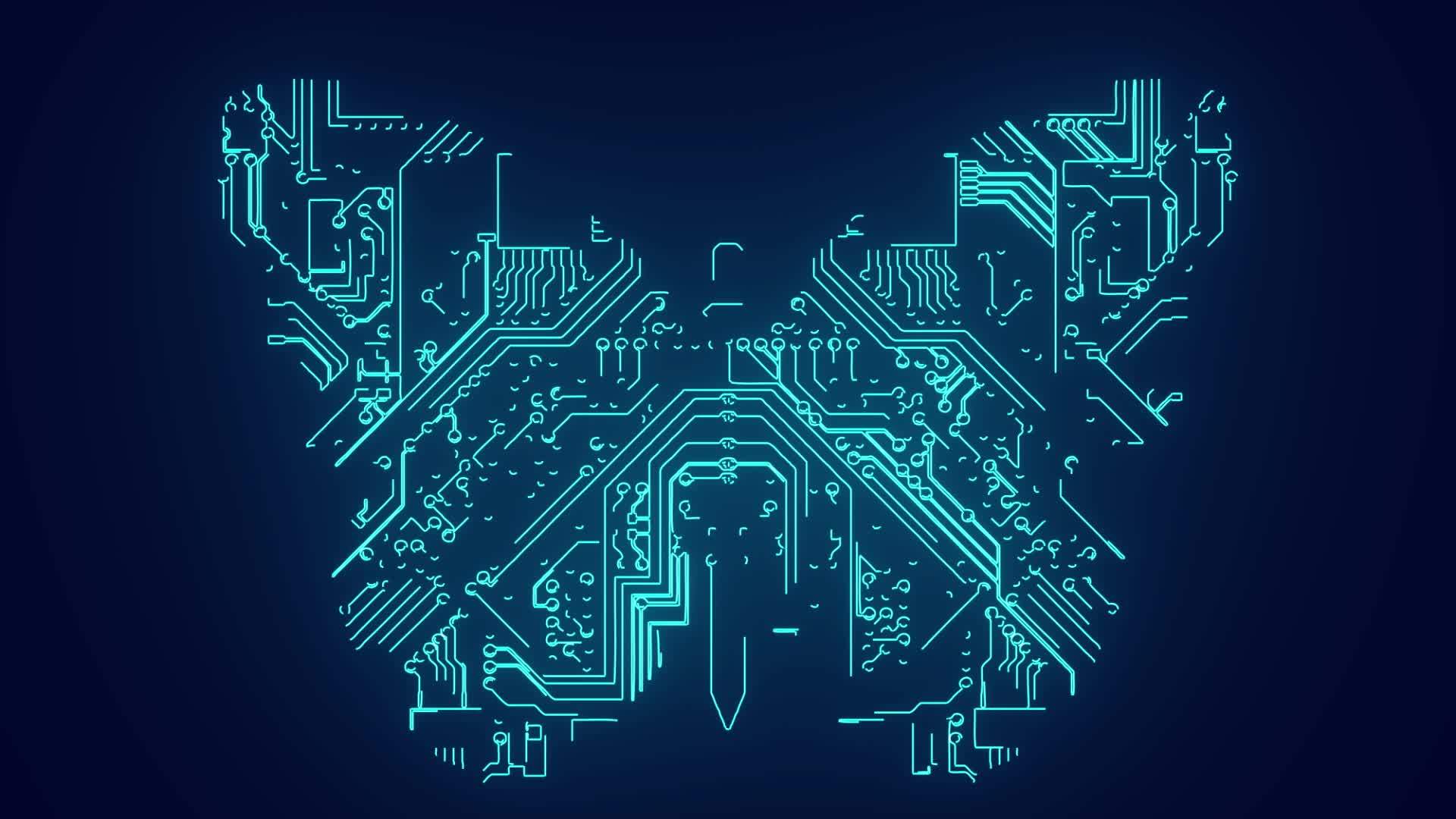Butterfly Circuit board technology cybersecurity animation 11088255 Stock  Video at Vecteezy