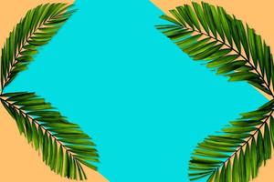 Green palm leaves pattern for nature concept,tropical leaf on orange and teal paper background photo