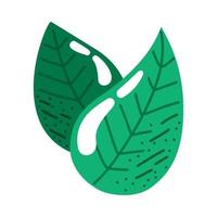 ecología hojas planta vector