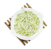 Bean sprouts with dish isolated on white background photo