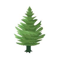 pine tree painted vector