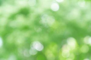 natural green bokeh abstract background,blurred textured photo