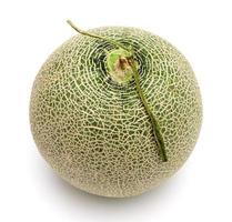 green cantaloupe melon isolated on white background photo