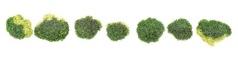 broccoli isolated on white background photo