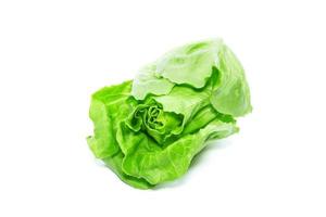 butterhead lettuce vegetable on white background photo