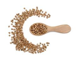 dried coriander seeds in wooden spoon isolated on white background photo