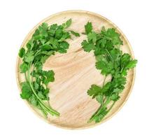 coriander on wooden dish,isolated on white background,top view photo