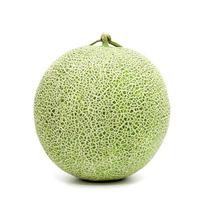 green cantaloupe melon isolated on white background photo