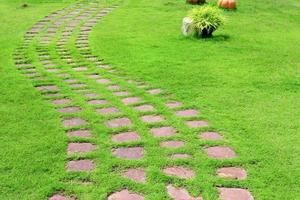 stone walkway in garden photo