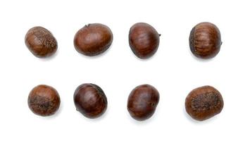 roasted chestnut isolated on white background photo