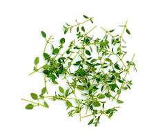fresh thyme or Lemon thyme leaf isolated on a white background ,Green leaves pattern photo