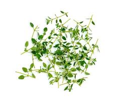 fresh thyme or Lemon thyme leaf isolated on a white background ,Green leaves pattern photo
