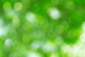 natural green bokeh abstract background,blurred textured photo