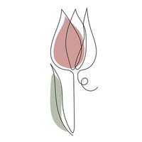 Tulip flower line art. Contour drawing. Minimalism art. vector