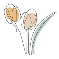 Tulip flower line art. Contour drawing. Minimalism art. vector