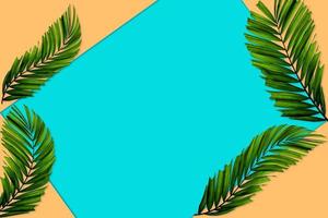 Green palm leaves pattern for nature concept,tropical leaf on orange and teal paper background photo